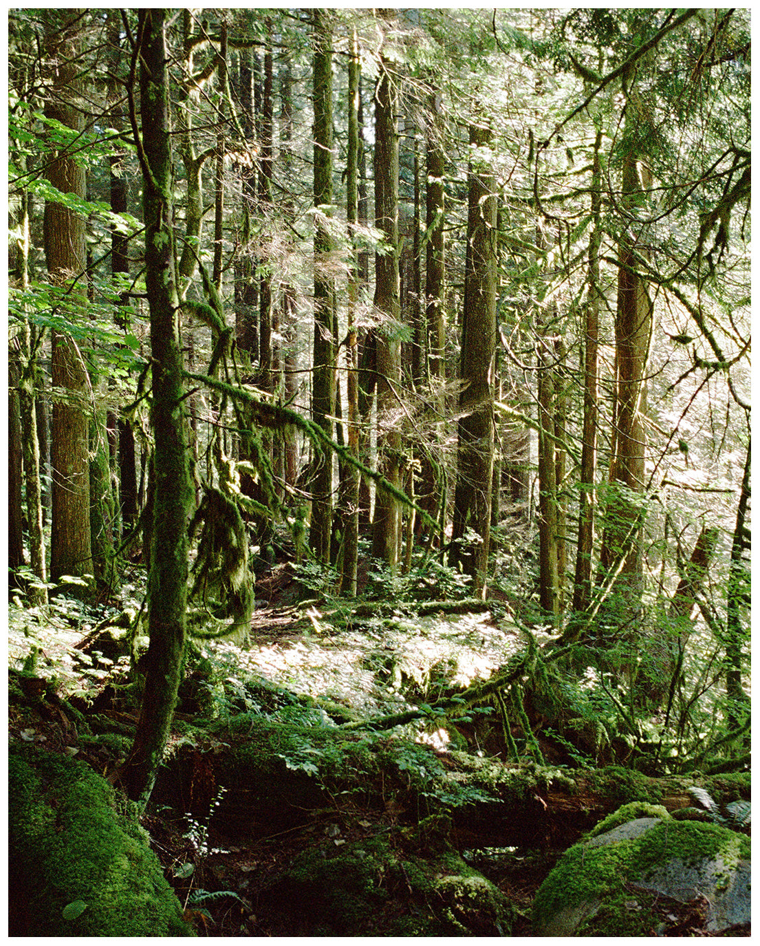 Archival Negative Scanning